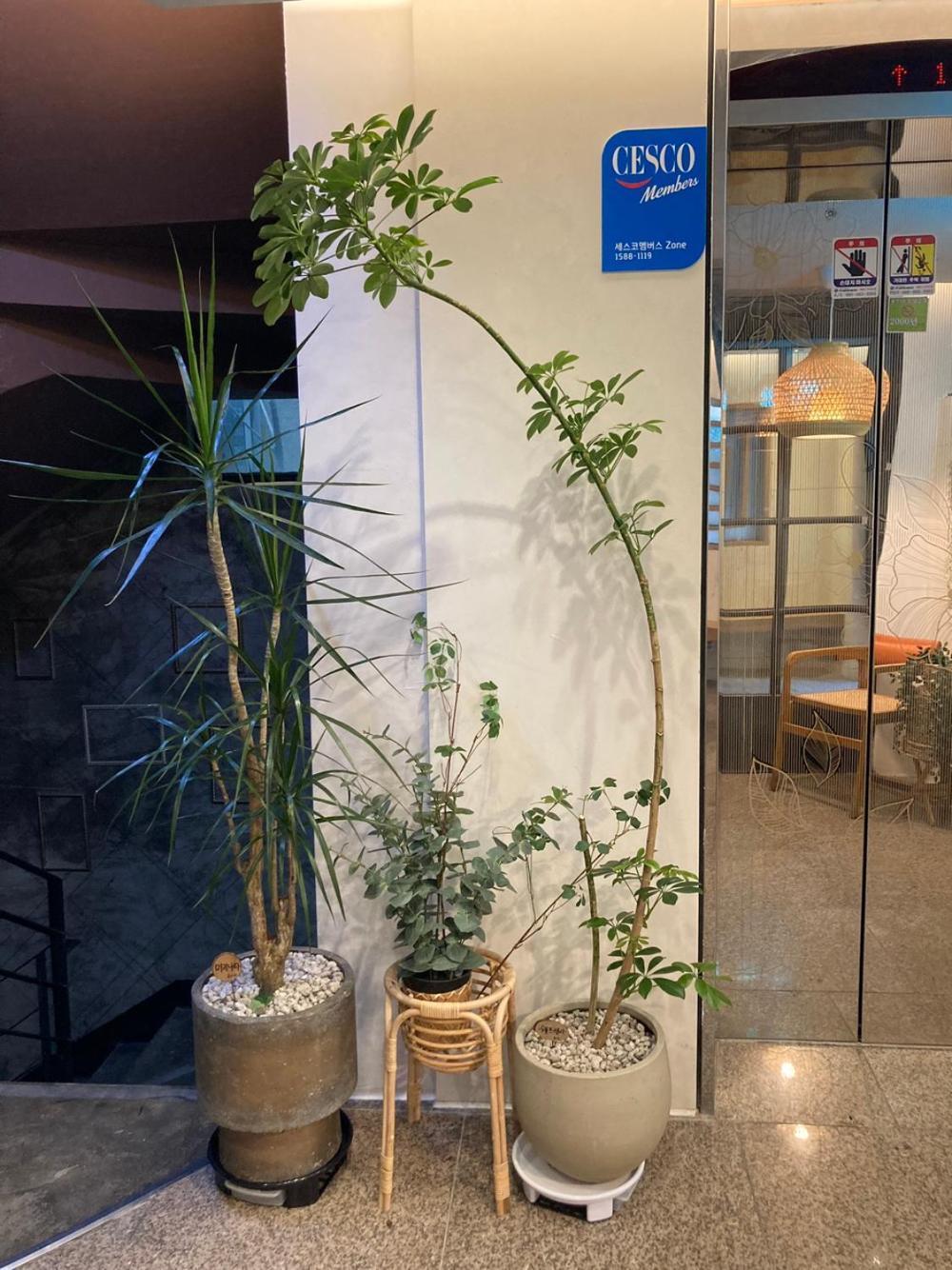 Hotel Less Seoul Eksteriør bilde